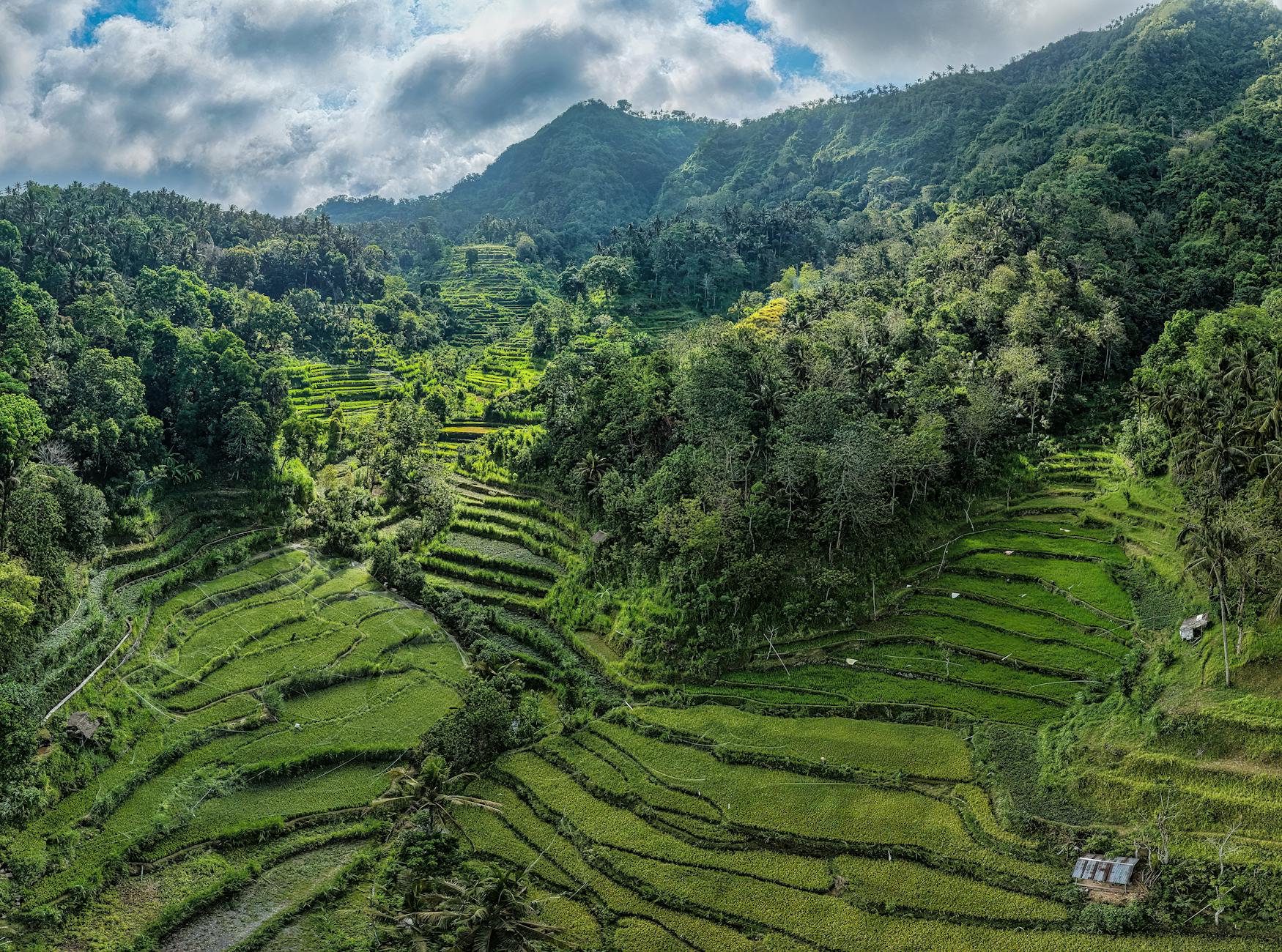 How to Learn Indonesian Fast: 7 Proven Methods in 2026