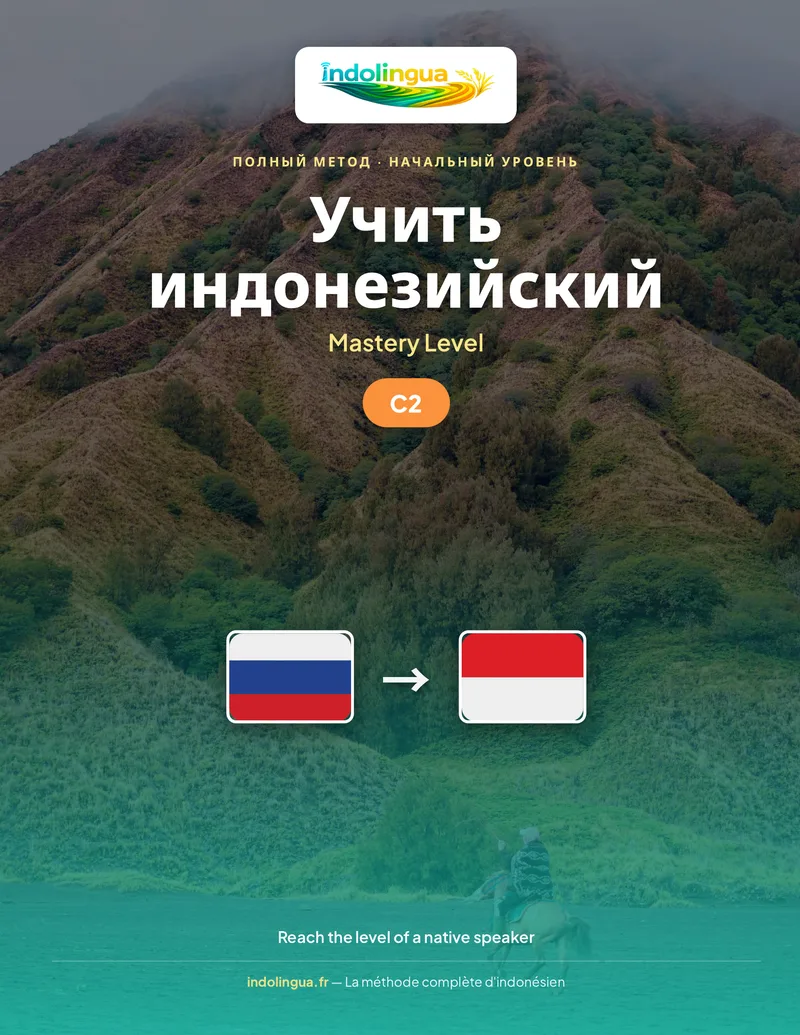 Учить индонезийский — Уровень владения